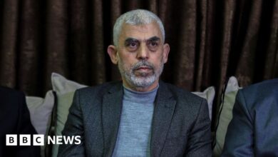 Hamas appoints Yahya Sinwar as new leader