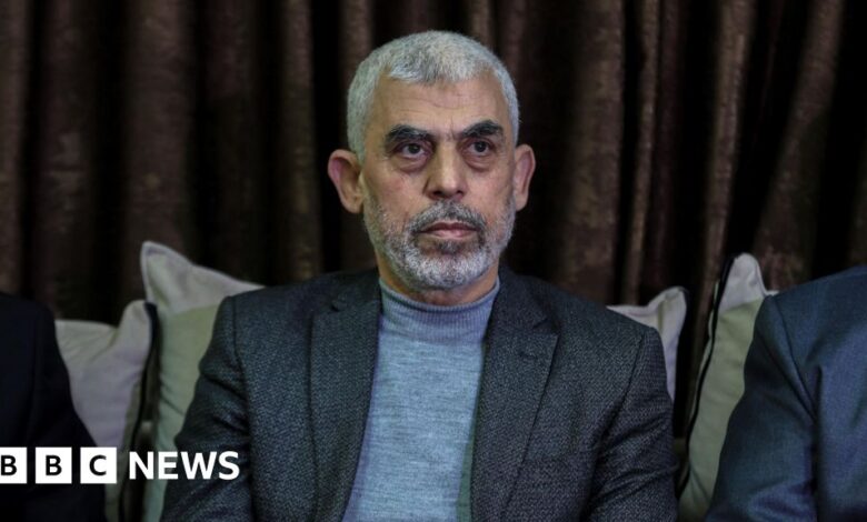 Hamas appoints Yahya Sinwar as new leader