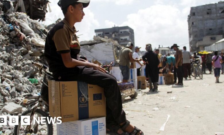 UN says Gaza relief operations temporarily halted due to evacuation