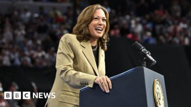 How Kamala Harris's 'queer and free' message resonated