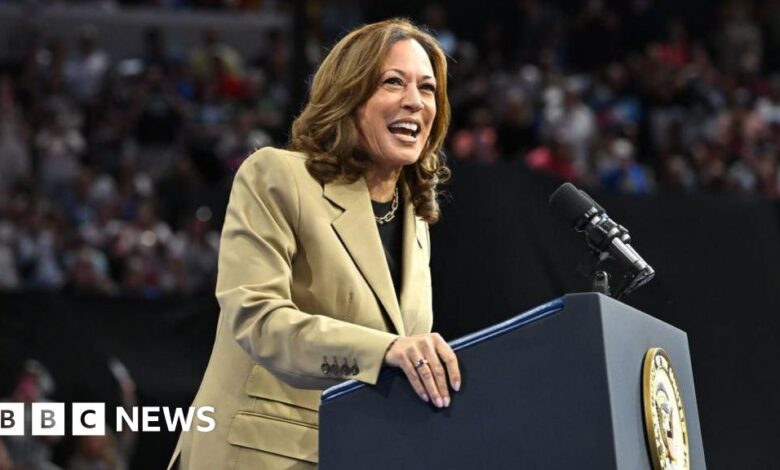 How Kamala Harris's 'queer and free' message resonated