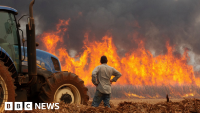 Forest fires in Brazil kill at least two people