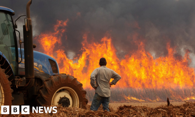 Forest fires in Brazil kill at least two people