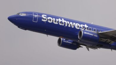 Elliott to call Southwest special meeting 'as early as next week'