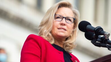 Liz Cheney says she'll vote for Harris because Trump would burn the Constitution in a second term