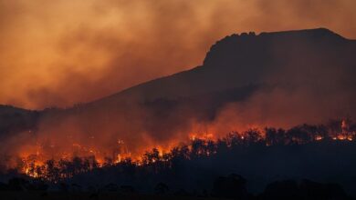 We must do more to keep the air we breathe clean: UN weather agency