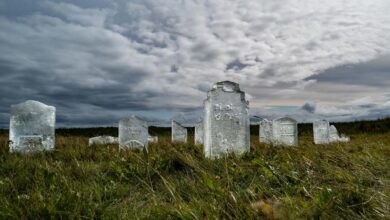 Climate change: 'Glacier graveyard' exposes existential threat of melting ice