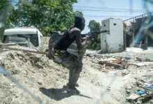 UN human rights office calls for more action to fight 'senseless crimes' in Haiti