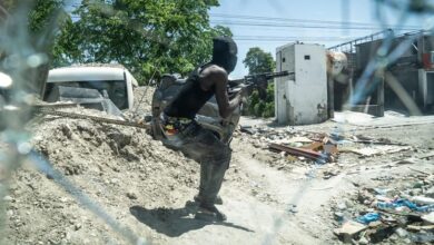 UN human rights office calls for more action to fight 'senseless crimes' in Haiti