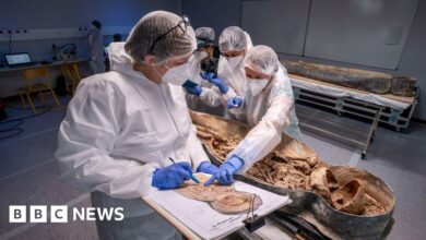 Restoration of Notre Dame Cathedral reveals sarcophagus of Renaissance poet