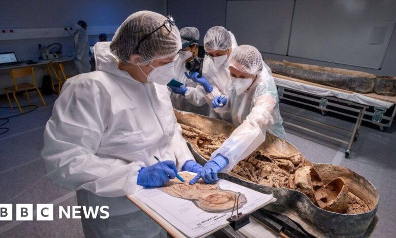 Restoration of Notre Dame Cathedral reveals sarcophagus of Renaissance poet