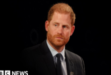 Prince Harry's US visa application will be kept secret, judge rules