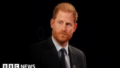 Prince Harry's US visa application will be kept secret, judge rules