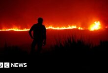 Deadly wildfires erupt in Portugal