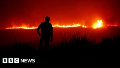 Deadly wildfires erupt in Portugal