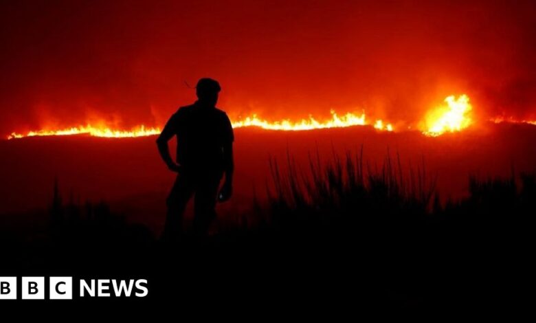 Deadly wildfires erupt in Portugal