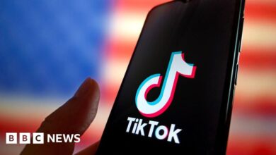 TikTok says US ban would have 'devastating' impact on free speech