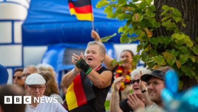 Brandenburg election: Olaf Scholz's SPD narrowly defeats AfD