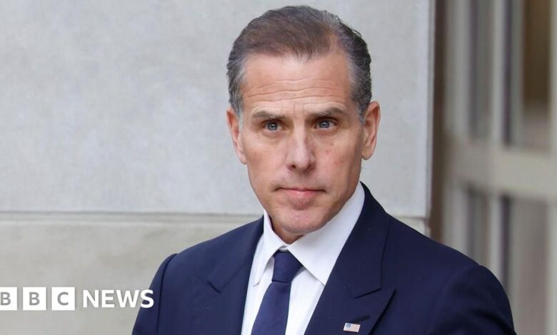 Hunter Biden pleads guilty at last minute in tax case