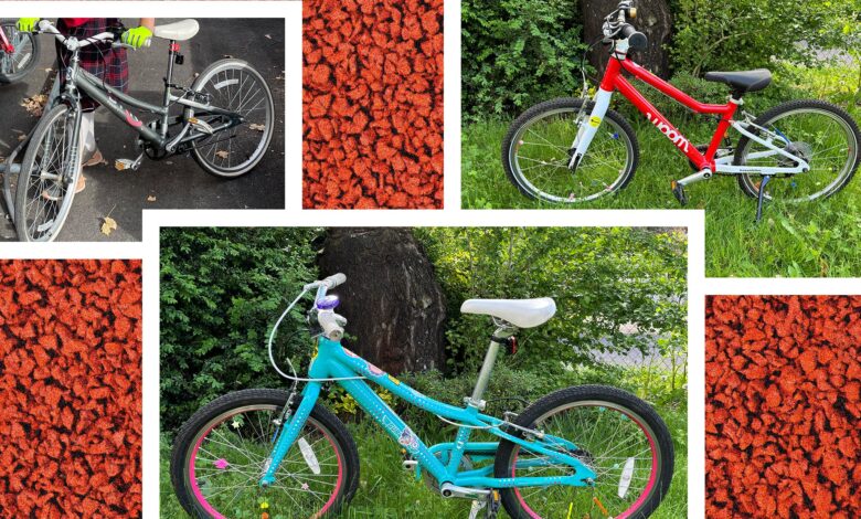 8 Best Kids Bikes (2024): Balance Bikes, Pedal Bikes, Coaster Bikes