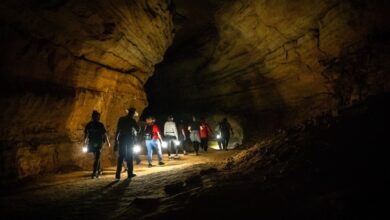 How Mammoth Cave National Park Used Negative Reviews to Attract Tourists