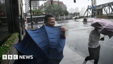 Shanghai hit by strongest storm in 75 years