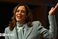 Why the 'Comrade Kamala' meme is popular among Latino diaspora communities