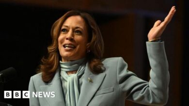 Why the 'Comrade Kamala' meme is popular among Latino diaspora communities