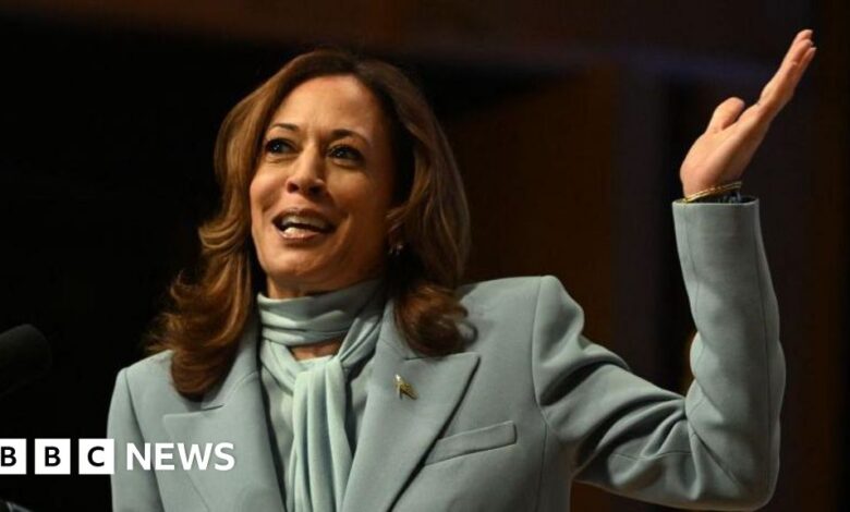 Why the 'Comrade Kamala' meme is popular among Latino diaspora communities