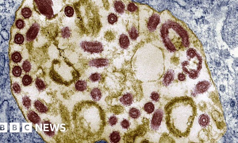 Marburg virus in Rwanda: Six people died