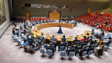 The Security Council announced progress in the UN-AU partnership for peace