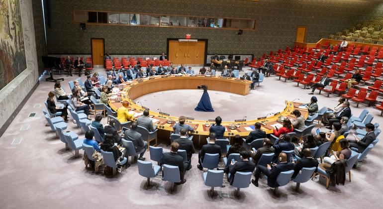 The Security Council announced progress in the UN-AU partnership for peace