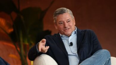 Netflix's Ted Sarandos on the future of the streaming service