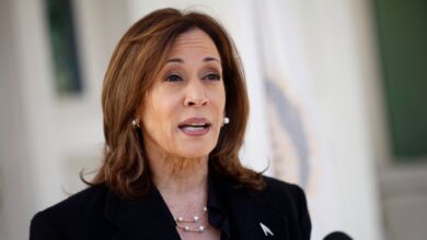 Kamala Harris asks Americans: Are you really going to elect someone who has good things to say about Hitler?