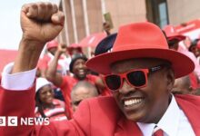 President Masisi's BDP wants to stay in power for another 5 years