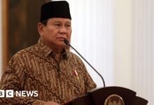 Prabowo took office with the largest cabinet since the 1960s