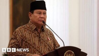 Prabowo took office with the largest cabinet since the 1960s