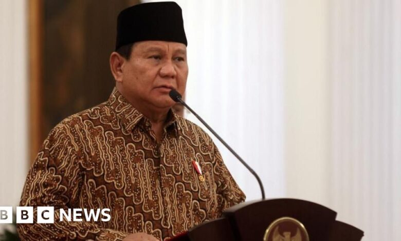 Prabowo took office with the largest cabinet since the 1960s