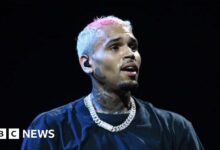 Concert at Chris Brown FNB Stadium sparks debate in South Africa about gender-based violence