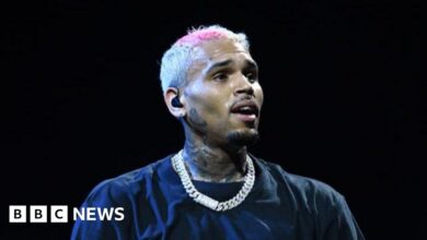 Concert at Chris Brown FNB Stadium sparks debate in South Africa about gender-based violence