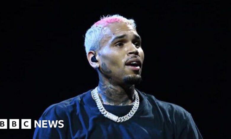 Concert at Chris Brown FNB Stadium sparks debate in South Africa about gender-based violence