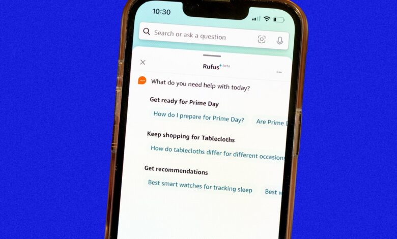 Amazon's Rufus AI shopping assistant now allows some shoppers to check price history