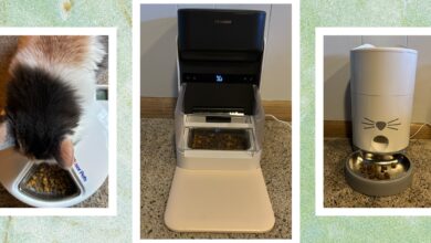 These 5 automatic cat feeders are the best we've tested