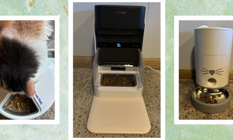 These 5 automatic cat feeders are the best we've tested