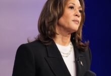 Presidential pollster: This moment could sink Kamala Harris