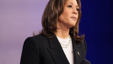 Presidential pollster: This moment could sink Kamala Harris