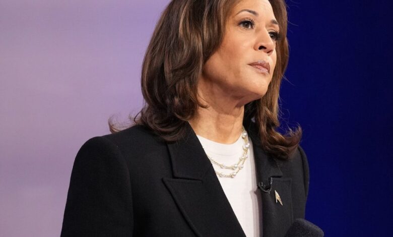 Presidential pollster: This moment could sink Kamala Harris