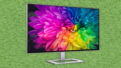 13 best tested computer monitors (2024): Cheap, OLED, 4K