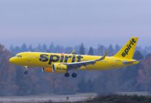 Spirit Airlines Passengers Claim Rat Was Allegedly Crawling On Flight Ceiling