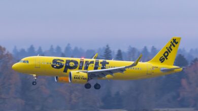 Spirit Airlines Passengers Claim Rat Was Allegedly Crawling On Flight Ceiling